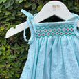 Charming Smocked Gingham Baby Dress