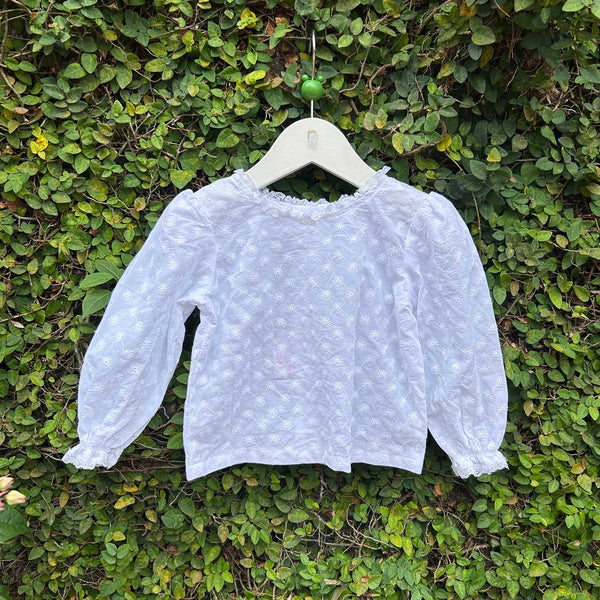 full sleeve embroidered fabric top