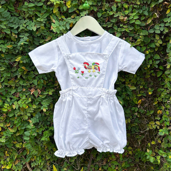 COLOURFUL HEN IN GARDEN BABY ROMPER