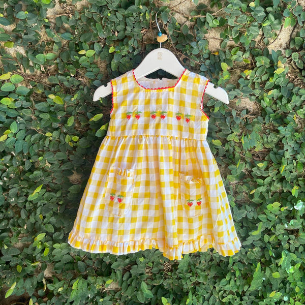 embroidered strawberry baby dress